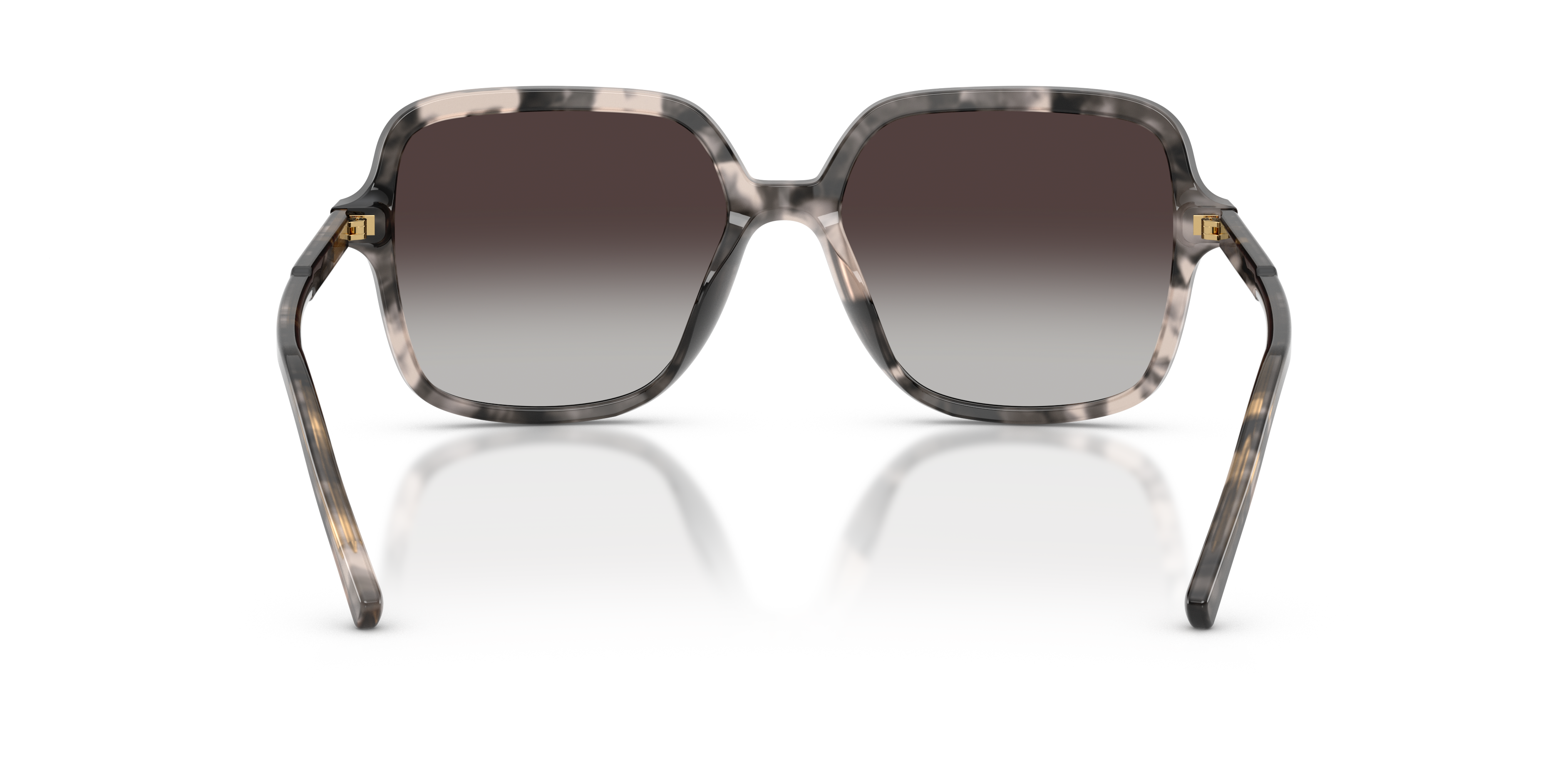 Dolce & Gabbana DG4539 31728G  